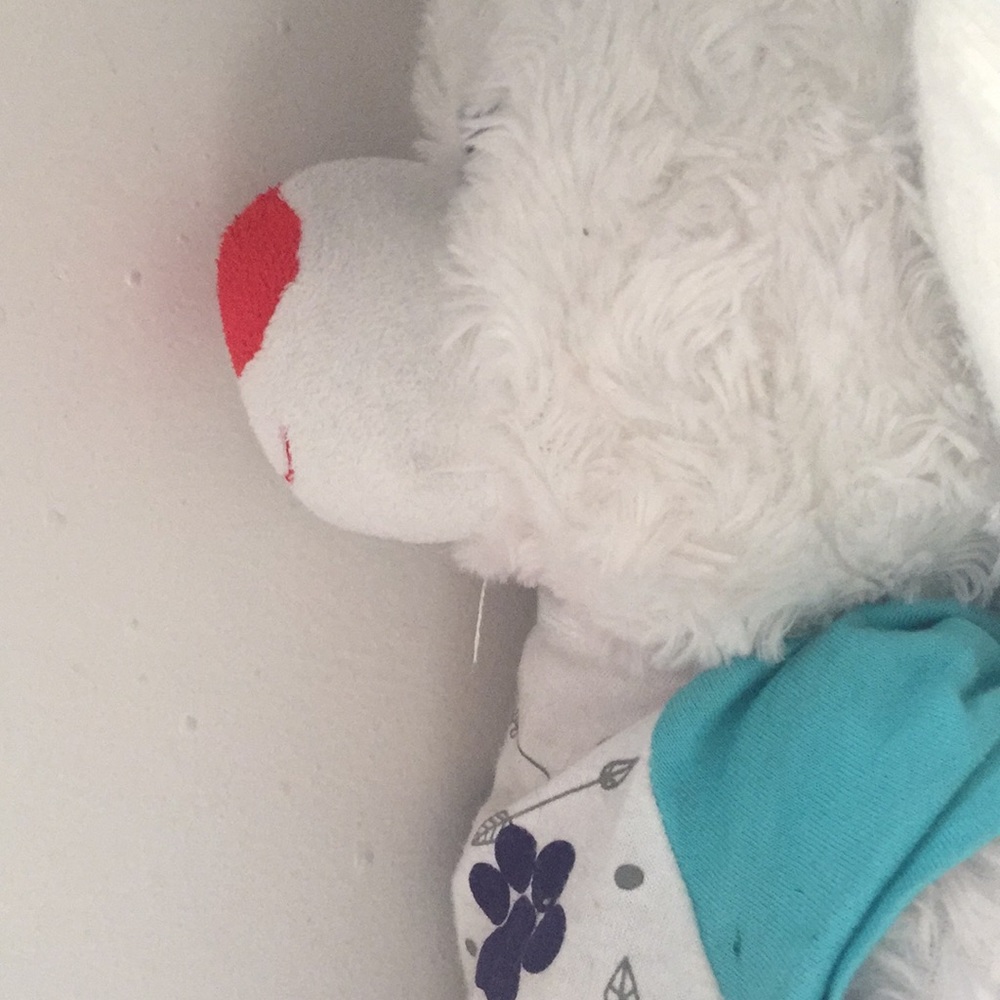 Ms.Bear